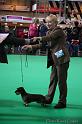 Crufts2011_2 702